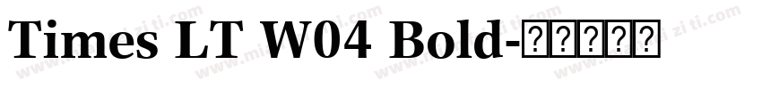 Times LT W04 Bold字体转换